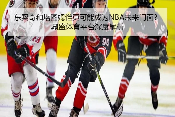 东契奇和塔图姆谁更可能成为NBA未来门面？鼎盛体育平台深度解析
